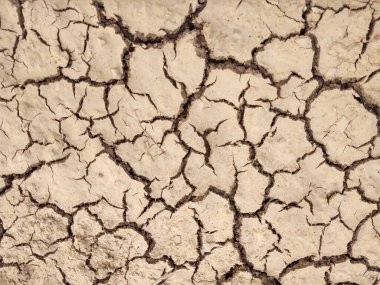 Sıcak yaz gününde çayırdaki kuru ve çatlak toprak. Slovakya