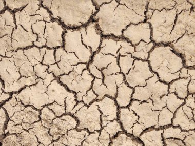 Sıcak yaz gününde çayırdaki kuru ve çatlak toprak. Slovakya