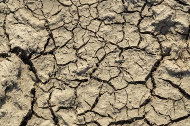 Sıcak yaz gününde çayırdaki kuru ve çatlak toprak. Slovakya