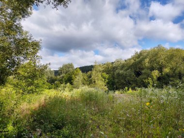 Ormanda nehri olan güzel bir manzara.