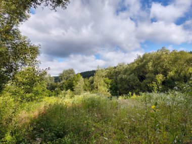 Güzel bir manzara Ağacı ve mavi gökyüzü