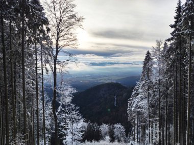 Kış boyunca kar altında doğa. Slovakya