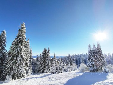 Kış boyunca kar altında doğa. Slovakya