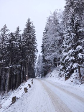 Kış boyunca kar altında doğa. Slovakya