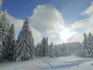 Kış boyunca kar altında doğa. Slovakya