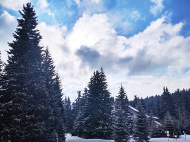 Kış boyunca kar altında doğa. Slovakya