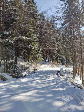 Kış boyunca kar altında doğa. Slovakya