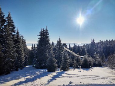 Kış boyunca kar altında doğa. Slovakya