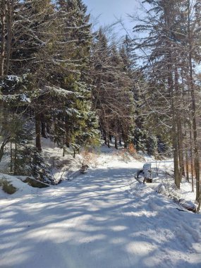 Kış boyunca kar altında doğa. Slovakya