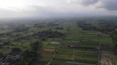 Geleneksel Endonezya köyü ve pirinç tarlasının hava manzarası.