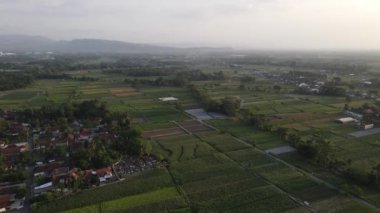 Geleneksel Endonezya köyü ve pirinç tarlasının hava manzarası.