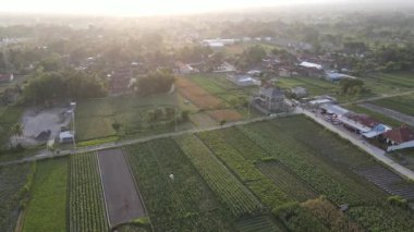 Geleneksel Endonezya köyü ve pirinç tarlasının hava manzarası.