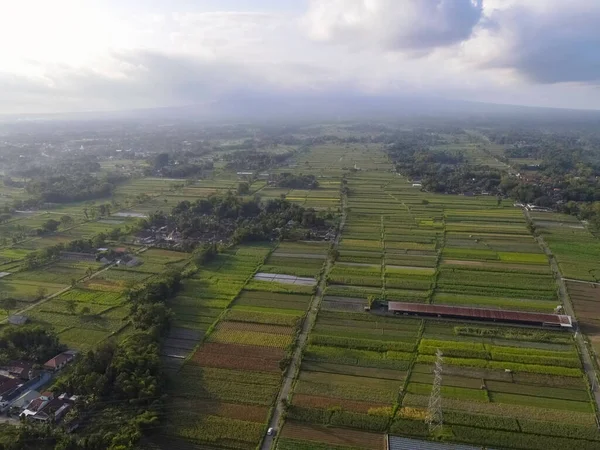 インドネシアの伝統的な村と田んぼの空中ビュー — ストック写真