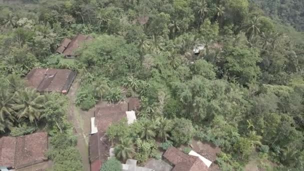 Aerial View Traditional Village Middle Forest Indonesia — Vídeo de stock