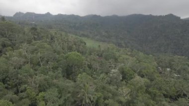 Aerial view of traditional village in the middle of forest in Indonesia