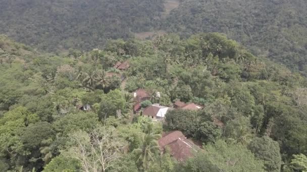Aerial View Traditional Village Middle Forest Indonesia — ストック動画