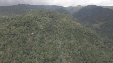 Aerial view of road in the middle of forest in Indonesia