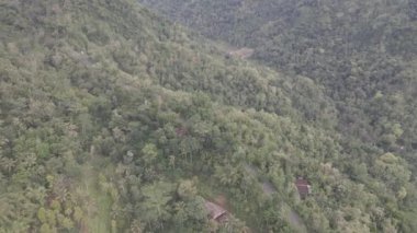 Aerial view of road in the middle of forest in Indonesia