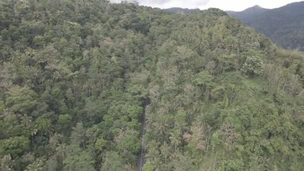 インドネシアの森の中の道路の空中ビュー — ストック動画