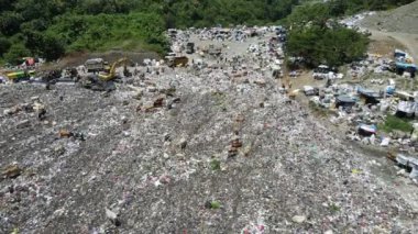 Aerial view of a city dump center full of trash. Herd of cows eating garbage in a landfill. Ecology and health issues.