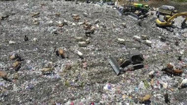 Aerial view of a city dump center full of trash. Herd of cows eating garbage in a landfill. Ecology and health issues.