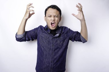 The angry and mad face of Asian man in blue shirt isolated white background.