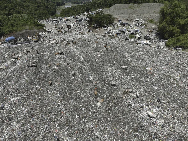 Aerial View City Dump Center Full Trash Herd Cows Eating — Stok fotoğraf
