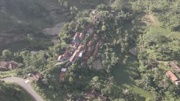 Aerial View Traditional Village Middle Forest Indonesia — Wideo stockowe