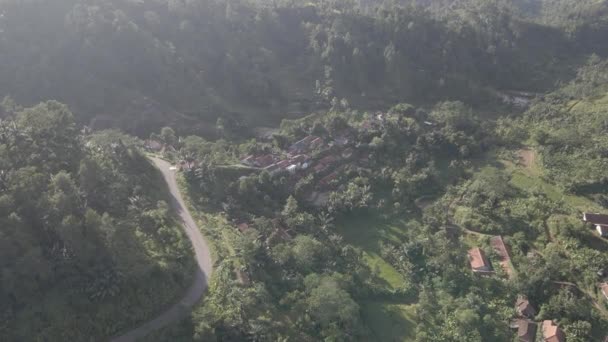 Aerial View Traditional Village Middle Forest Indonesia — стоковое видео