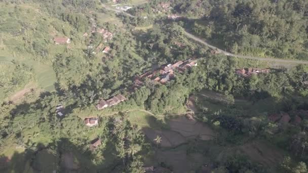 Повітряний Вид Традиційне Село Посеред Лісу Індонезії — стокове відео