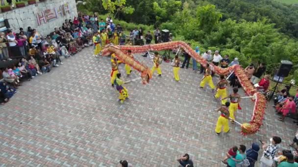 Китайський Новий Рік Парадами Прикрашеними Гарними Світильниками Має Багато Відвідувачів — стокове відео