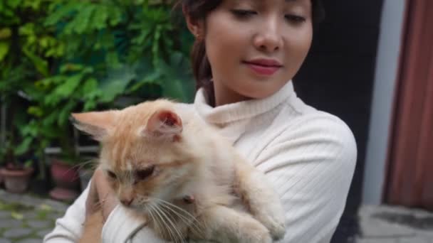 Seorang Wanita Asia Yang Cantik Membawa Kucing Angora Oranye Nya — Stok Video