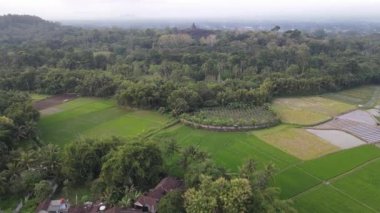 Java, Endonezya 'daki Borobudur Tapınağı' nın havadan görünüşü. Orman manzaralı geniş bir alan.. 