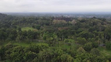 Java, Endonezya 'daki Borobudur Tapınağı' nın havadan görünüşü. Orman manzaralı geniş bir alan.. 