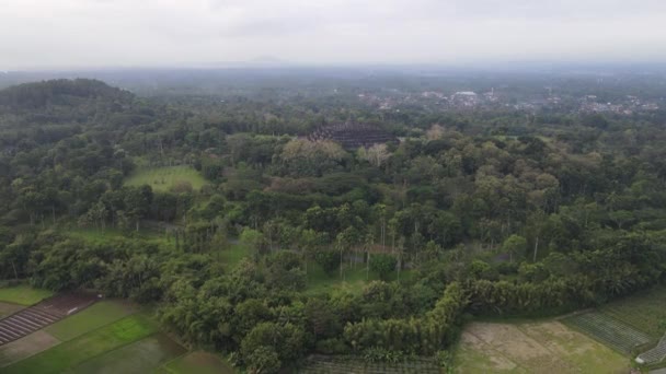 Luftaufnahme Des Borobudur Tempels Java Indonesien Weitwinkelaufnahme Mit Waldblick — Stockvideo