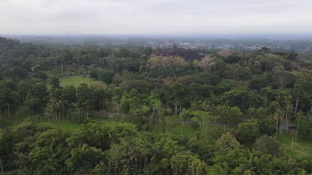 Luftaufnahme Des Borobudur Tempels Java Indonesien Weitwinkelaufnahme Mit Waldblick — Stockvideo