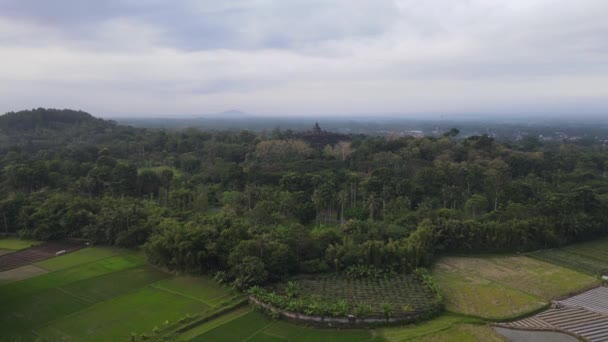 インドネシアのジャワ島にあるボロブドゥール寺院の空中ビュー 森の景色と広い撮影 — ストック動画