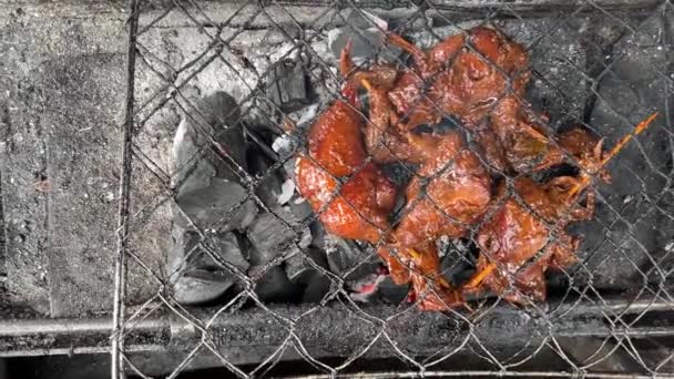 石炭のグリルで鶏もも肉を焼き — ストック動画
