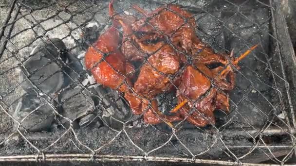 烤鸡腿在煤炉上 — 图库视频影像