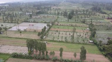 Sumbing ve Sindoro dağlarındaki hava manzarası Endonezya 'da sisli zirve ile