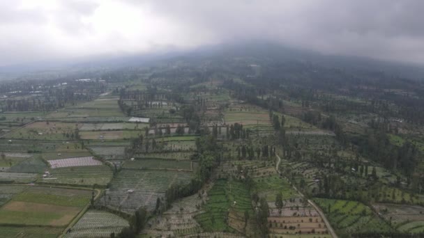 Luftfoto Vegetabilsk Felt Sumbing Sindoro Mount Med Tåget Højdepunkt Indonesien – Stock-video