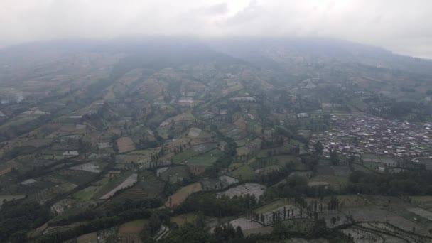 Luchtfoto Van Plantaardig Veld Sumbing Sindoro Mount Met Mistige Piek — Stockvideo