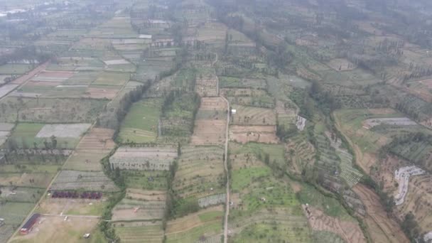 Flygfoto Grönsaksfält Sumbing Och Sindoro Mount Med Dimmig Topp Indonesien — Stockvideo