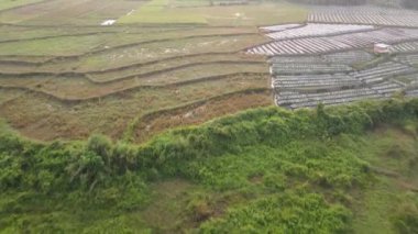 Klaten Endonezya köyündeki sisli pirinç tarlasının havadan görünüşü