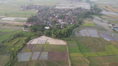 Klaten Endonezya köyündeki sisli pirinç tarlasının havadan görünüşü