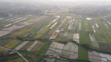 Klaten Endonezya köyündeki sisli pirinç tarlasının havadan görünüşü
