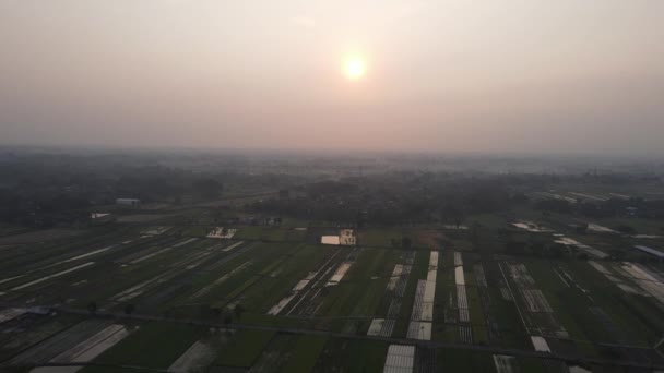 Luchtfoto Van Mistig Rijstveld Dorp Klaten Indonesia — Stockvideo