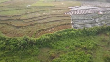 Klaten Endonezya köyündeki sisli pirinç tarlasının havadan görünüşü