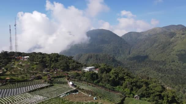 Αεροφωτογραφία Του Ομιχλώδη Hils Γύρω Από Lawu Βουνό Ινδονησία — Αρχείο Βίντεο