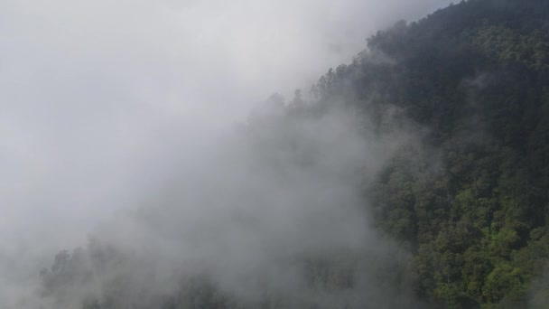 Luftaufnahme Des Nebligen Tropenwaldes Lawu Mountain Indonesien — Stockvideo
